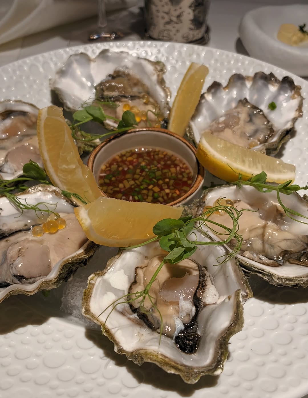 Fresh Oysters
